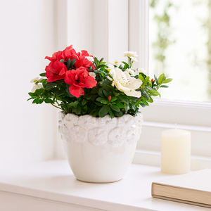 SLATERGATE IVORY PLANTER 6 (IN) 10