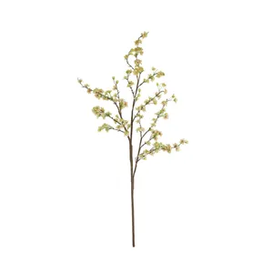 botanica #2850 4