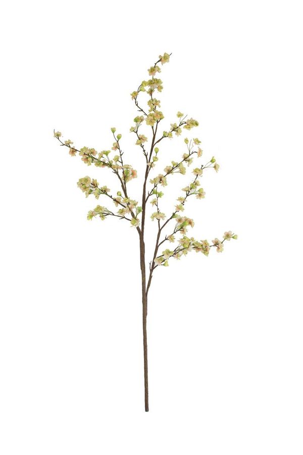 botanica #2850