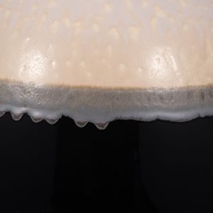 ALONDRA LARGE CERAMIC VASE 5