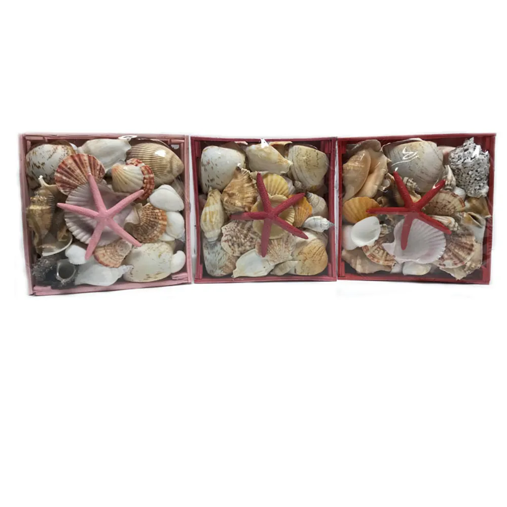 8" SHELL PACK 3-ASST