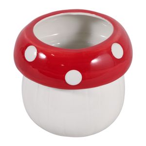 BLAINEROSE WHITE PLANTER 5 (IN) 6