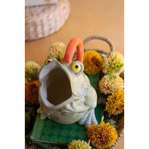 Ceramic Frog Pitcher Vase 4