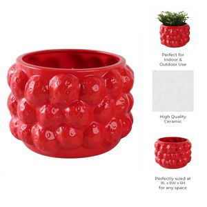 CALWIND RED PLANTER 6 (IN) 9