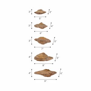 CLEOOAK SET OF 5 TAN WALL SCULPTURES 6 (IN) 7