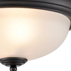 Helena 13'' Wide 2-Light Flush Mount - Black 4