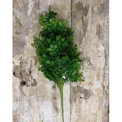 Boxwood 18in Pick