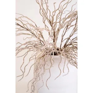 botanica #9009 3
