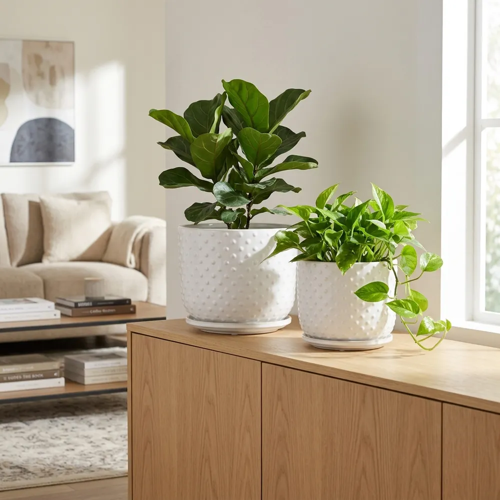 FIONAOAK SET OF 2 WHITE PLANTER 10 (IN)