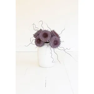 Botanica #2770 1