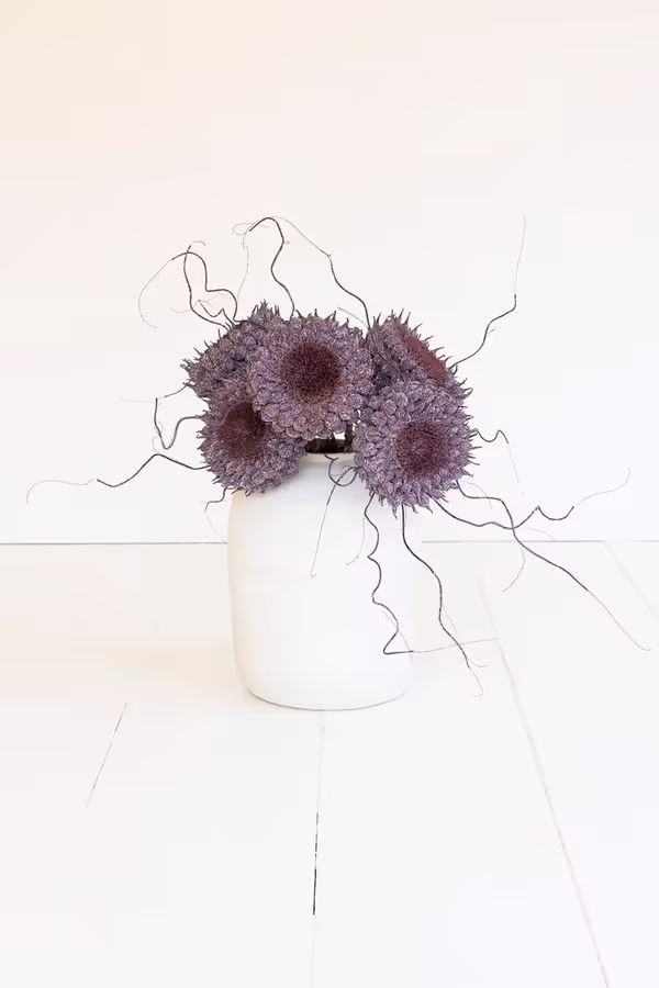 Botanica #2770