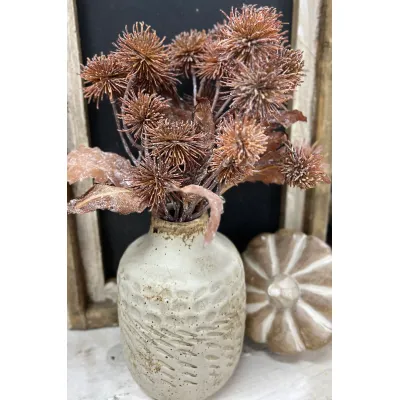 Brown Sycamore Bundle