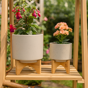 FRAZERWICK SET OF 2 IVORY PLANTER 9 (IN) 12