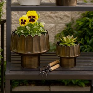 MAXWELLSHAW SET OF 2 GOLD PLANTER 11 (IN) 2