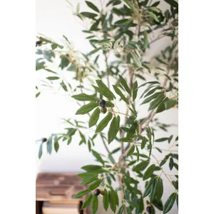 Tall Artificial Olive Tree in a Black Plastic Pot 3