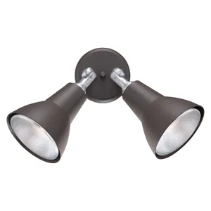 Daley 11'' High 2-Light Outdoor Sconce - Black 1