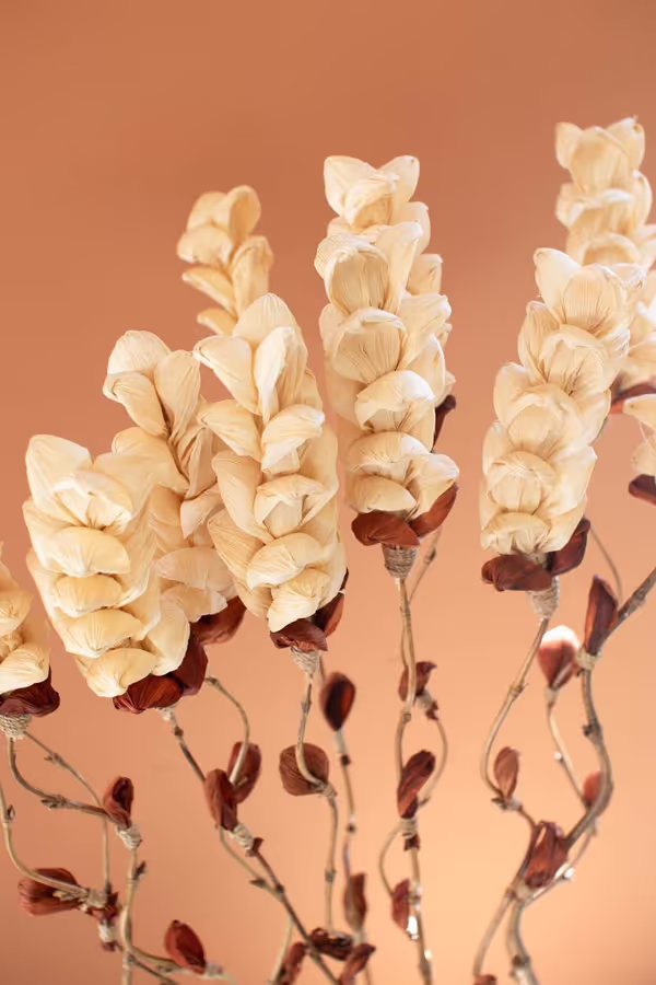 Set of 12 Cornhusk Botanicals on a Bamboo Stem / Snap Dragon