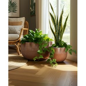 GARFIELDMORE SET OF 2 BROWN PLANTER 7 (IN) 2
