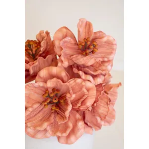 Botanica #9074 4