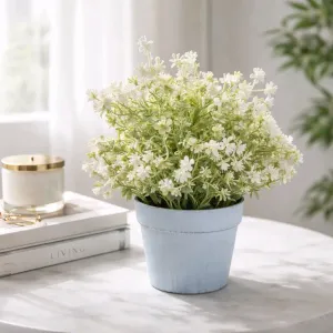 Morning Dew Pot 10in 1