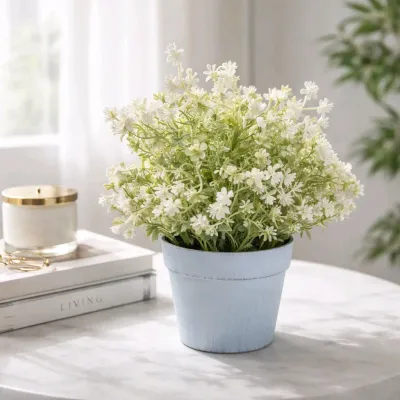 Morning Dew Pot 10in