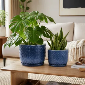 FIONAOAK SET OF 2 BLUE PLANTER 10 (IN) 10