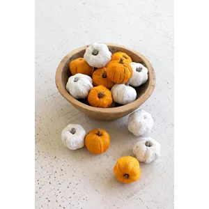 Bag of 15 Dried Miniature Faux Pumpkins / White 2