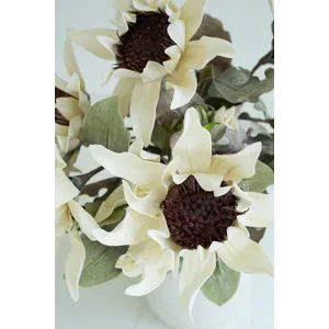 Botanica #2797 3