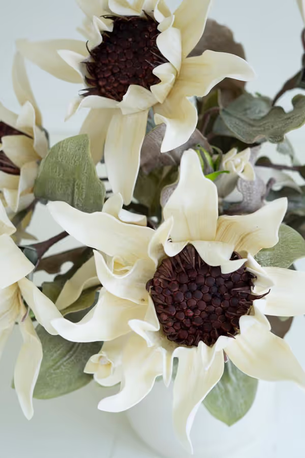 Botanica #2797