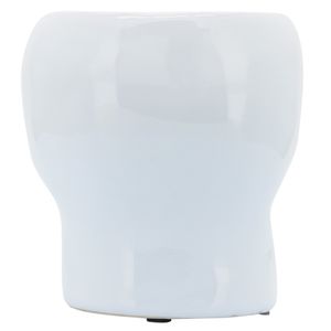 LINDENCLIFF WHITE VASE 5 (IN) 6
