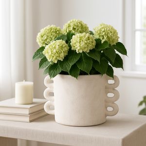 ARLOWHAVEN WHITE PLANTER 8 (IN) 10