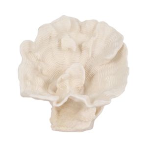BRENDANSHAW IVORY DECOR 12 (IN) 1