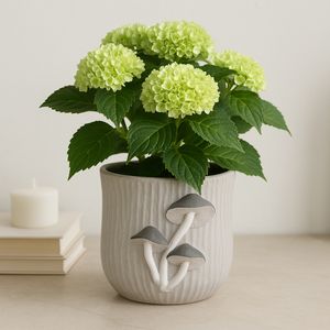 BRICEMORE GRAY PLANTER 6 (IN) 10