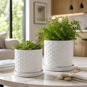 DECKERFORD SET OF 2 WHITE PLANTER 10 (IN) 11