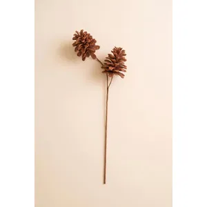 Botanica #9069 3