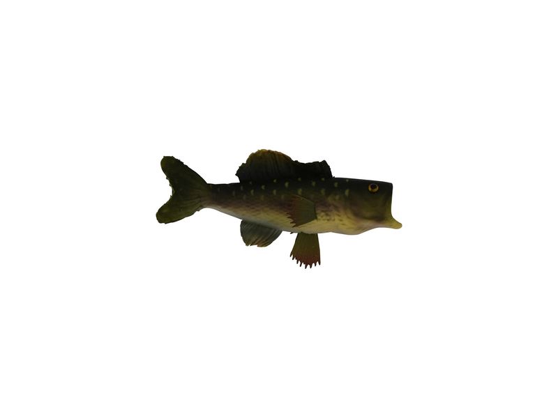 6.5" Small Mouth Bass Fish on Wire Pick 1