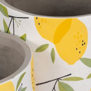 HATCHERGATE SET OF 2 YELLOW PLANTER 7 (IN) 5