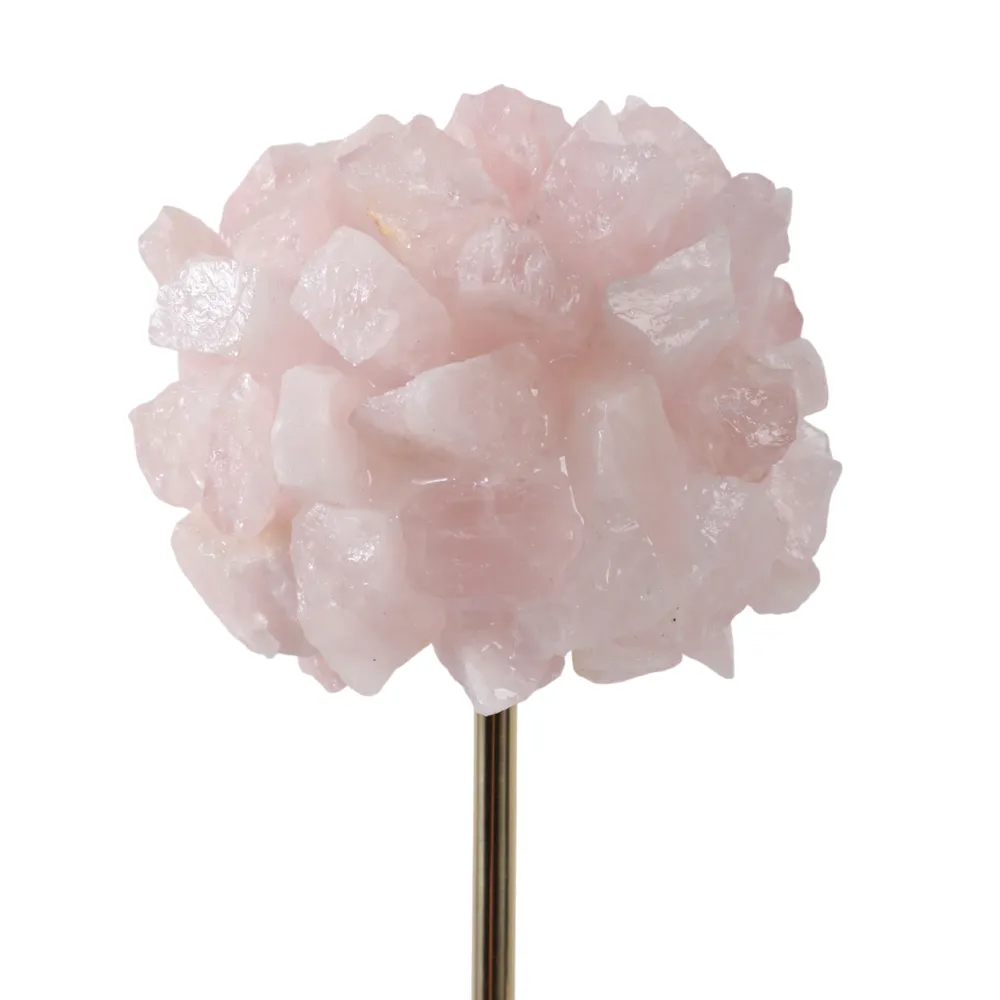 DUNCANWORTH PINK DECOR 16 (IN)