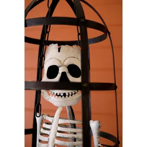 Metal Halloween Skeleton in a Cage 5