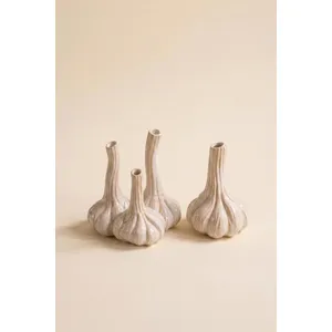 Set of 2 Ceramic Garlic Bud Vases 2