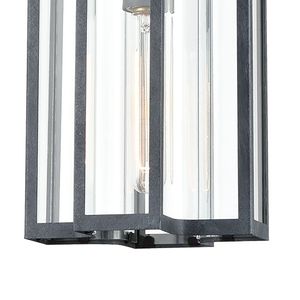 Bianca 8'' Wide 1-Light Outdoor Pendant - Aged Zinc 4