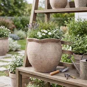 SPARROWCLIFF ORANGE PLANTER 13 (IN) 10