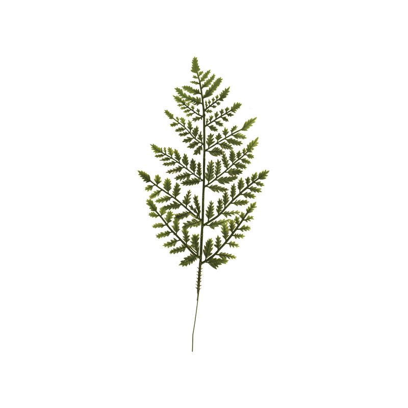 17.5" Variegated Fern Leaf Stem