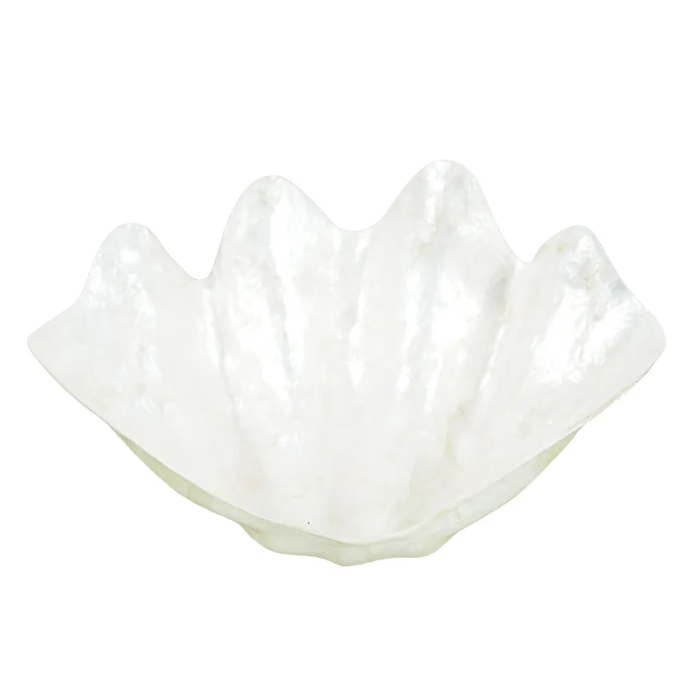 10" MEDIUM NATURAL WHITE SHELL