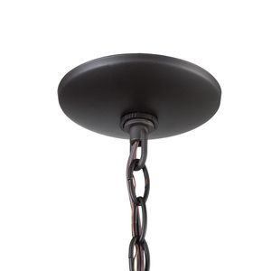 Onion 10'' Wide 1-Light Outdoor Pendant - Oil Rubbed Bronze 4