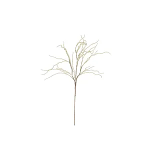 botanica #9009 4