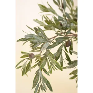 Artificial Olive Branch 3
