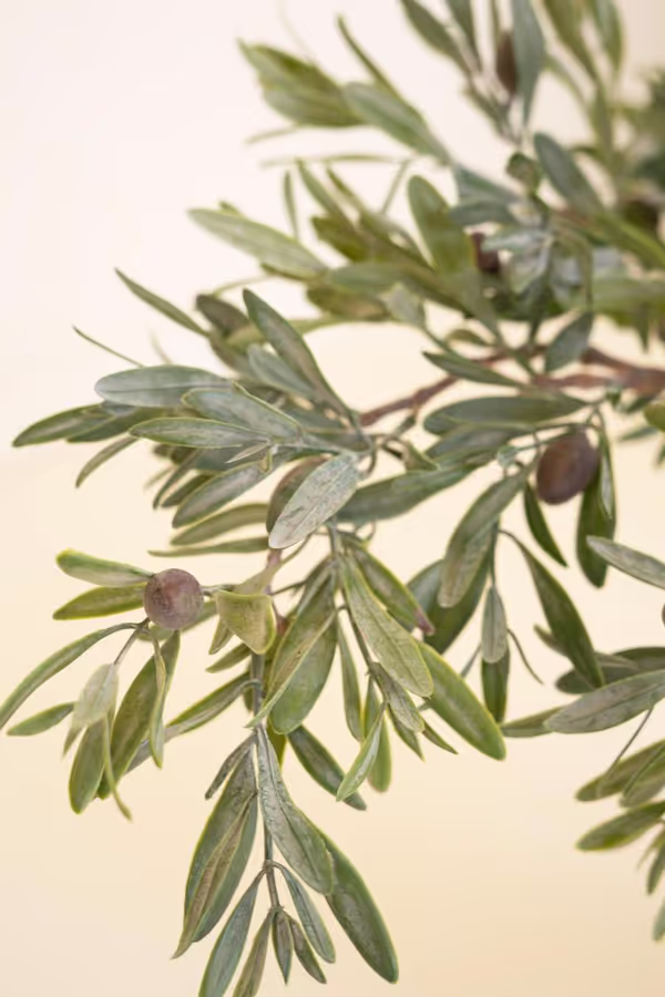 Artificial Olive Branch