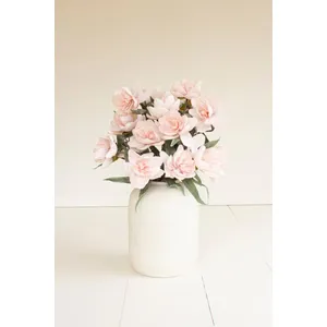 Botanica #3573 2
