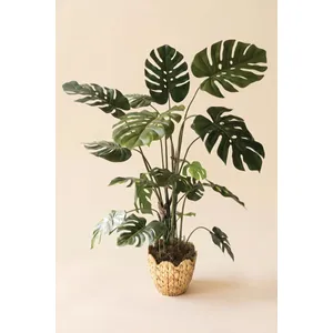 Artificial Monstera Plant in a Black Plastic Pot 3
